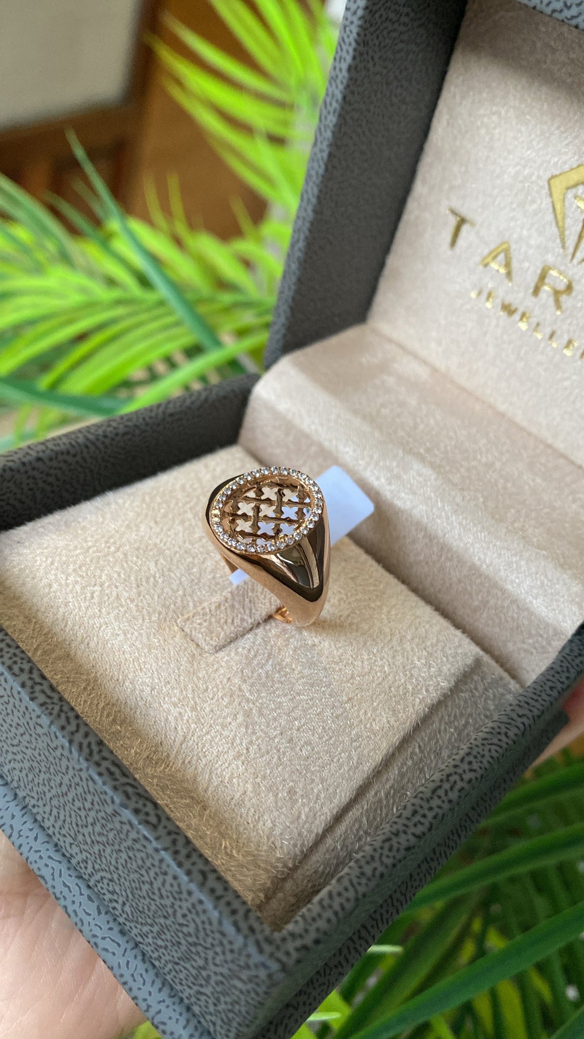 Rose Gold Ring - Oval Signet Lattice Pave Zircons